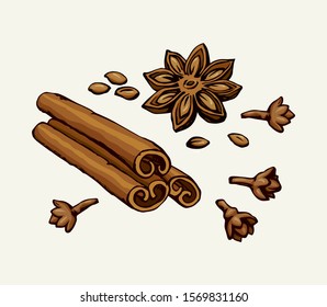 Indian dry anisestar badiam pod of anis bud, cannella cassia bark on white backdrop. Bright brown hand drawn staranise, cinamon in retro art doodle style. Close-up macro chinese sweet cinammon product