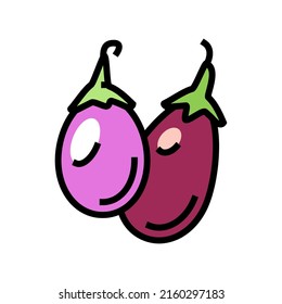 Indian Eggplant Color Icon Vector. Indian Eggplant Sign. Isolated Symbol Illustration