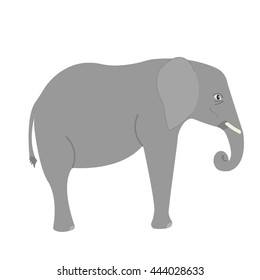 Indian elephant
