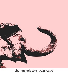 Indian elephant