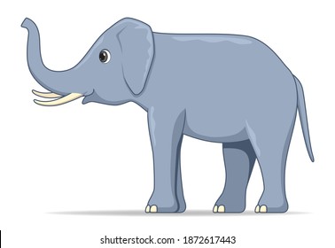 Indian elephant animal standing on a white background. Cartoon style vector illustration