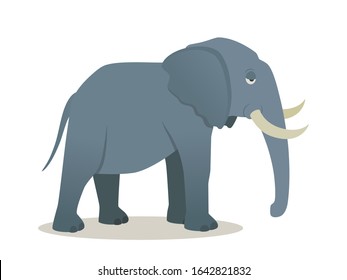 Indian elephant. Big gray african elephant with white tusks. Vector illustration, flat design element, cartoon style. Isolated on white background.