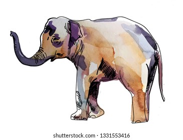 Indian elephant. Drawing by hand in vintage style. Texture watercolor paint.