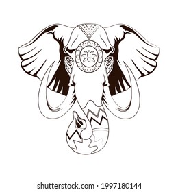 Indian elephant on white background