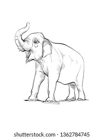 The Indian elephant in one color stands with a trumpet rolled up on a white background.