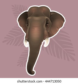 Indian elephant sticker