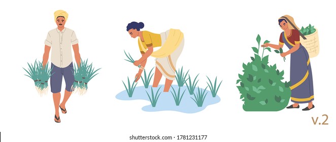 Indian farmer male and female character set, vector flat isolated illustration. People planting rice seedlings and picking tea leaves. Indian farming industry.