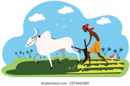 Indian farmer plows the agricultural field using bullocks vector illustration