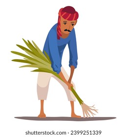 Indian farmer in traditional clothes. Rural man collect or harvesting. Rural business and village concept. Village rural character worker. Isolated vector illustration