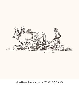 Indian farmer working in agriculture field with bulls and plough, A farmer is engaged in agriculture, Indian former working with plough, Farmer in Field, Farmer Vector, sketch Hand drawn illustration