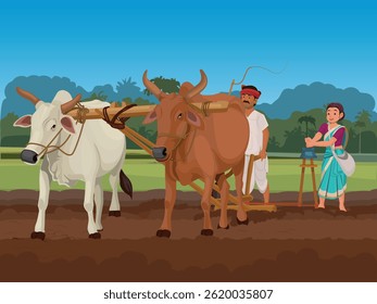 Agricultores indianos trabalhando no campo, processo de semear sementes, agricultor indiano e seu boi, Happy Farmer Day