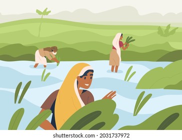 Indian farmers working on rice field, standing in water. Farm workers work on farmland in Asia. Happy people on Asian paddy plantation. Traditional agriculture in India. Flat vector illustration