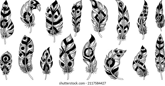 Indian feathers. Hand drawn bird plumage with native American tribal retro ornaments, vintage decorative sketch. Vector set