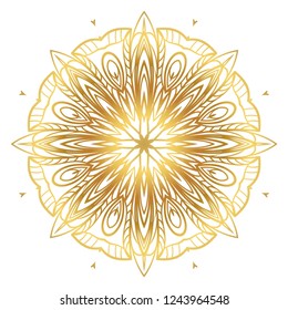 Indian floral mandala pattern.Vector Henna tattoo style. Can be used for textile, greeting card, coloring book, phone case print