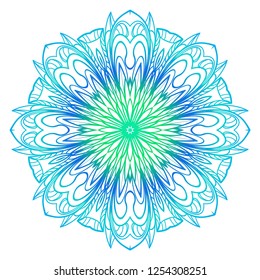 Indian floral mandala pattern.Vector Henna tattoo style. Can be used for textile, greeting card, coloring book, phone case print