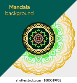 Indian floral paisley medallion banners. Ethnic Mandala ornament. For greeting card, coloring book, phone case print. Vector illustration