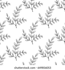 Indian Frankincense Salai or Boswellia serrata vintage illustration.Olibanum-tree (Boswellia sacra), aromatic tree. Ink hand drawn herbal illustration. Seamless pattern.