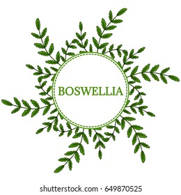 Indian Frankincense Salai or Boswellia serrata vintage illustration, round frame.Olibanum-tree (Boswellia sacra), aromatic tree. Ink hand drawn herbal illustration.