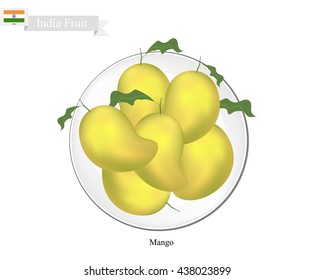 Indian Fruit, Illustration of Mango. One of The Most Popular Fruits in India.
