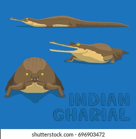 Indian Gharial Cartoon Vector Illustration