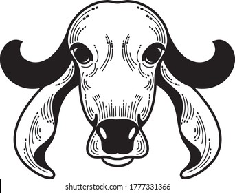 Vector indio de raza de vaca de gir