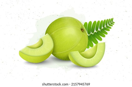 Indian gooseberry fruit (amla) vector illustration with Amla pieces and green leaves