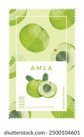 Frutas de grosella de la India o Plantillas de diseño de embalaje Amla, Ilustración vectorial de estilo de acuarela.