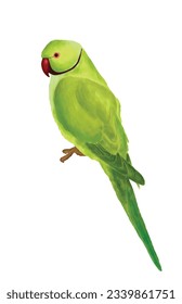 Ilustración de acuarela del vector rojizo de loro verde indio