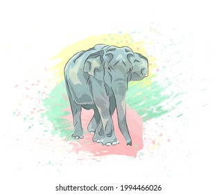 Indian ink hand drawn elephant with watercolor splashes background. Good for logo, card, t-shirt print, web site, visit card.