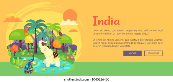 Indian jungle with leafy trees, tall palms, white elephant, bright peacock, funny monkey, small river and orange sun in sky vector illustration web poster