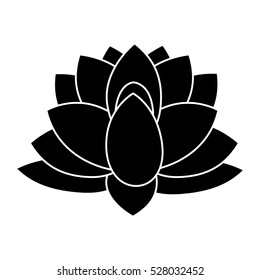 indian lotus flower