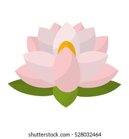 indian lotus flower