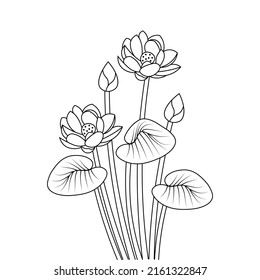 indian lotus flower line art illustration of coloring page for kids