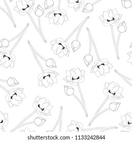 Indian lotus Outline on White Background. (Nelumbo nucifera,sacred lotus, bean of India, Egyptian bean. National flower of India and Vietnam) Vector Illustration. 