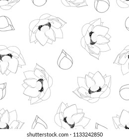 Indian lotus Outline on White Background. (Nelumbo nucifera,sacred lotus, bean of India, Egyptian bean. National flower of India and Vietnam) Vector Illustration. 