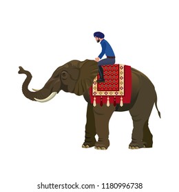 Indian man riding elephant. Vector illustration isolated on white background