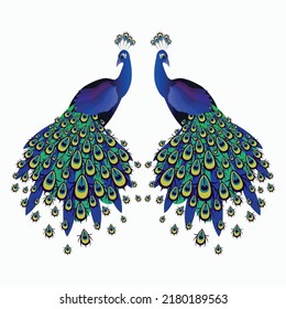 Indian National Bird  Peacock Vector Illustration