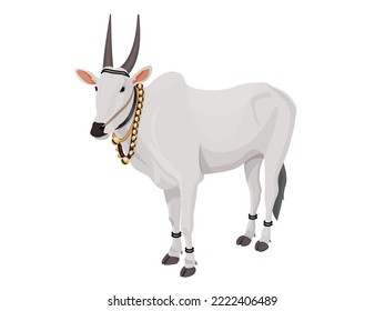 Indian Ox is decorated with various stuff for festivals