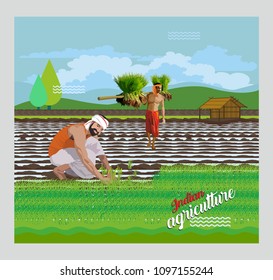 Indian Paddy Agriculture