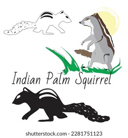  indian palm squirrel stock photo, image, vector, illustration