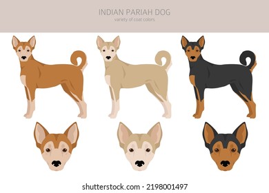 Indian Pariah dog clipart. Different poses, coat colors set.  Vector illustration