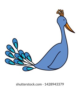 indian peacock bird exotic icon