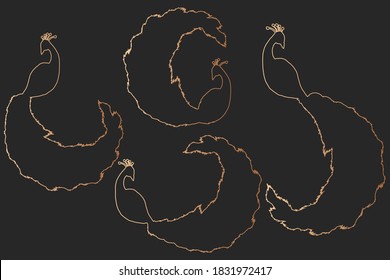 Indian peafowl silhouettes in bronze lines