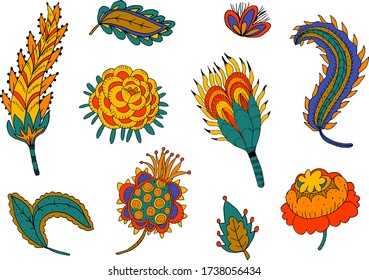 indian plants illustration. traditional indian motifs. pen drawing of ethnic flowers. set of decorative paisley templates. floral pattern.