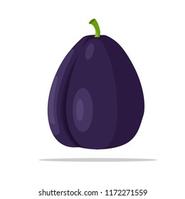 indian plum fruit illustration vector