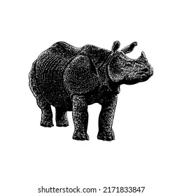 Indian Rhinoceros hand drawing vector illustration isolated on white background