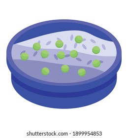 Indian rice with peas icon. Isometric of indian rice with peas vector icon for web design isolated on white background