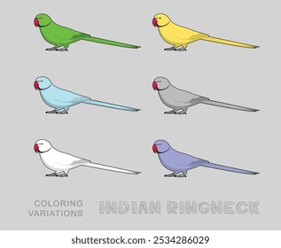 Indio Ringneck Parrot Talking Birds Variantes para colorear Ilustración vectorial