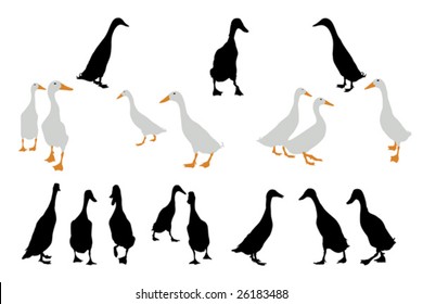 indian runner ducks collection for designers svg