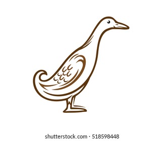 Indian Runner Straight Duck